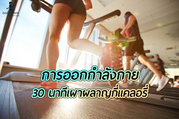 การออกกําลังกาย 30 นาที จะทำให้เราเผาผลาญกี่แคลอรี่ต่อวัน