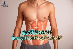 การออกกำลังกายอย่างเดียวไม่ได้สร้าง สร้างกล้ามท้อง ได้